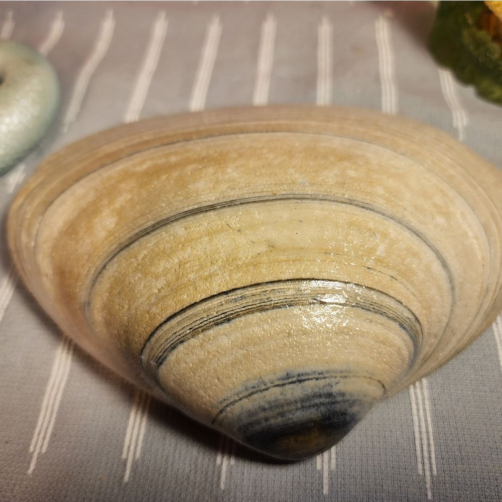 Decoupage clam shell - Picture 7 of 7